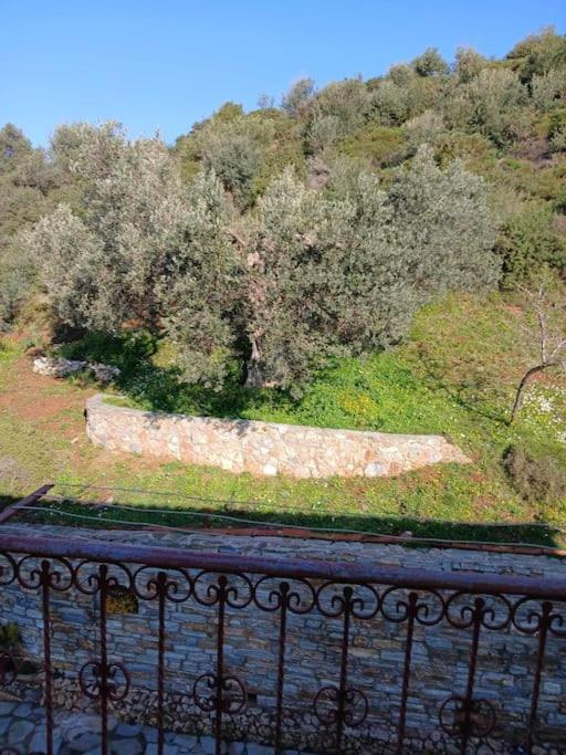 παραθαλασσιο σπιτι στην εξοχη Holiday home