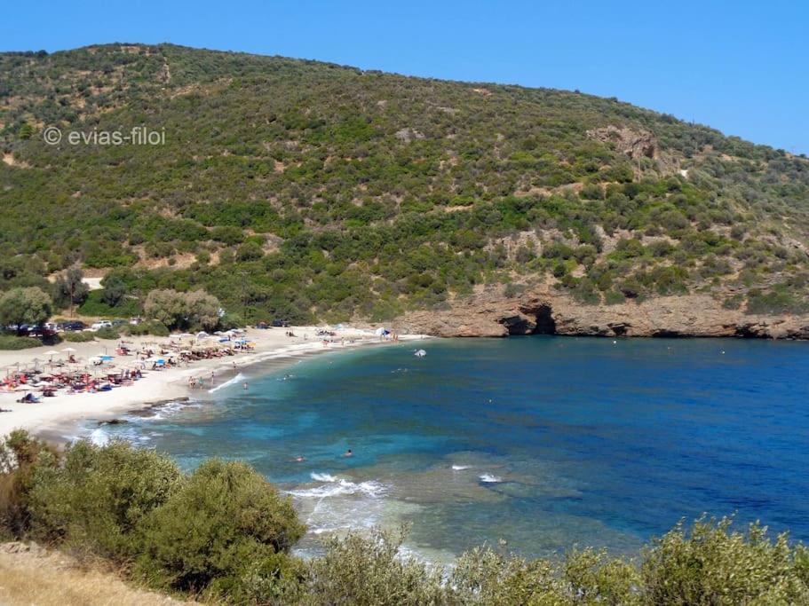 παραθαλασσιο σπιτι στην εξοχη Holiday home Tsakei